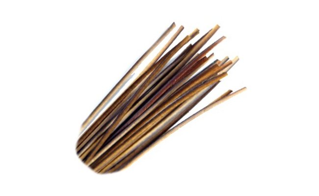 Odran pav paprsky Veniard Hand Stripped Peacock Quills Odran pav paprsky Veniard Hand Stripped Peacock Quills hnd