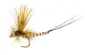 OE Mohican May Sml/Male OE Mohican May Sml/Male, vel. 14