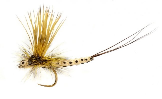 OE Mohican May Sml/Male OE Mohican May Sml/Male, vel. 14