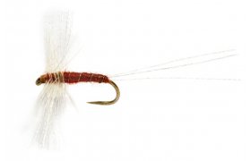 OE Spent Circle Spinner BWO B/L OE Spent Circle Spinner BWO B/L, vel. 16