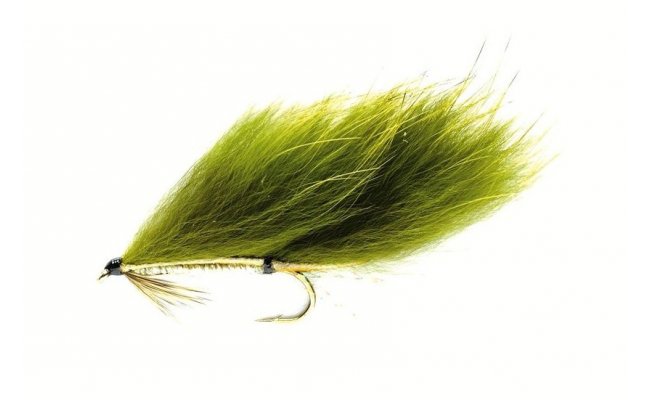 Olive Zonker Olive Zonker, vel. 8