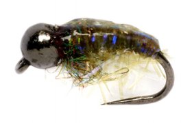 Olivov UV larva chrostka s ernou hlavikou B/P Olivov UV larva chrostka s ernou hlavikou B/P, vel. 12