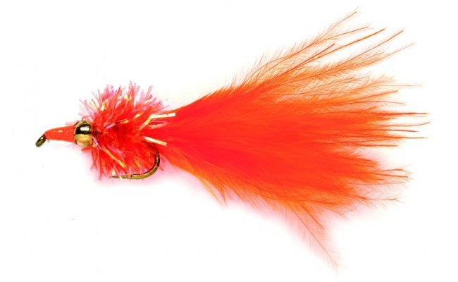 Orange Nomad B/L Orange Nomad B/L, vel. 10