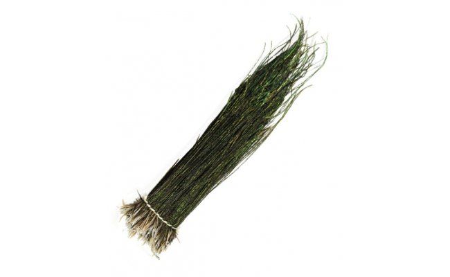 Paprsky pavho pe Veniard Peacock Herl Paprsky pavho pe Veniard Peacock Herl prodn