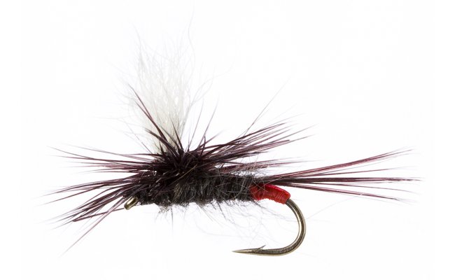 Parachute Iron Blue Parachute Iron Blue, vel. 16