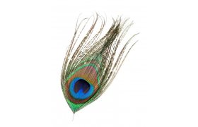 Pav oko Veniard Peacock Eye Top Pav oko Veniard Peacock Eye Top prodn