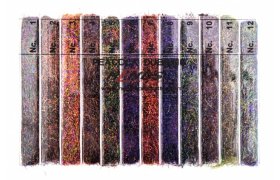 Peacock Dubbing Box Hends Mix 12 barev Peacock Dubbing Box Hends Mix 12 barev