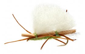 Pnov napodobenina velkho lunho konka olivov Pnov napodobenina velkho lunho konka olivov, vel. 6