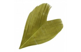 Pe z kondora nhrada Veniard Condor Substitute Pe z kondora nhrada Veniard Condor Substitute ern