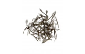 Peka French Hackle Quill & Fly Peka French Hackle Quill & Fly prodn