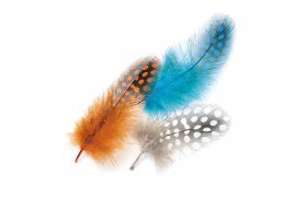 Perlika Mix Veniard Guinea Fowl Plumage Mixed Hackles Perlika Mix Veniard Guinea Fowl Plumage Mixed Hackles prodn
