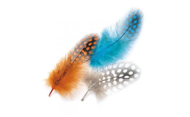 Perlika Mix Veniard Guinea Fowl Plumage Mixed Hackles Perlika Mix Veniard Guinea Fowl Plumage Mixed Hackles prodn