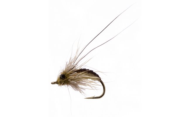 Podpovrchov kukla chrostka bov Podpovrchov kukla chrostka bov, vel. 10