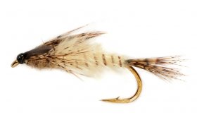 Procterova napodobenina velk nymfy mjovky Procterova napodobenina velk nymfy mjovky, vel. 8