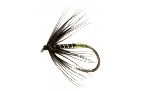 Procterv ern mokr pavouek s perleovm tipem B/P Procterv ern mokr pavouek s perleovm tipem B/P, vel. 14