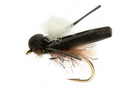 Procterv ern pnov lun konk s blm kdlem B/P Procterv ern pnov lun konk s blm kdlem B/P, vel. 8