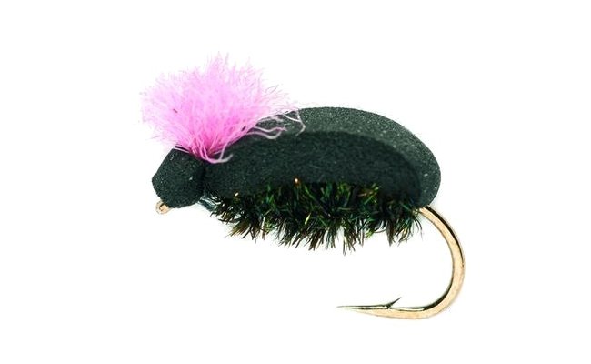 Procterv pnov brouek s rovm indiktorem Procterv pnov brouek s rovm indiktorem, vel. 12