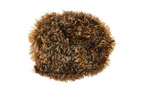 Prsvitn blobov enylka FlyBox T-15 Translucent Blob Chenille Prsvitn blobov enylka FlyBox T-15 Translucent Blob Chenille, ohniv oranov