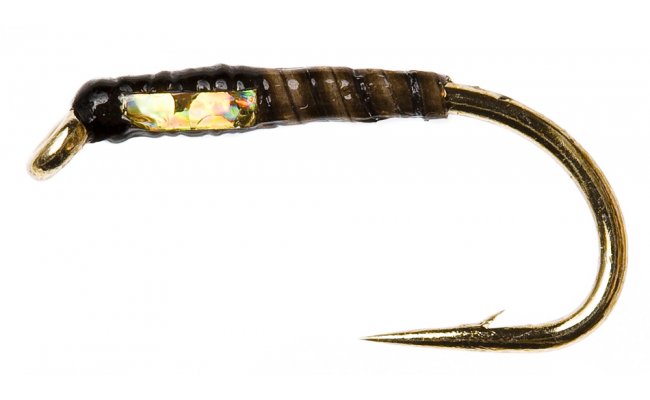 Quill Buzzer Black Quill Buzzer Black, vel. 12