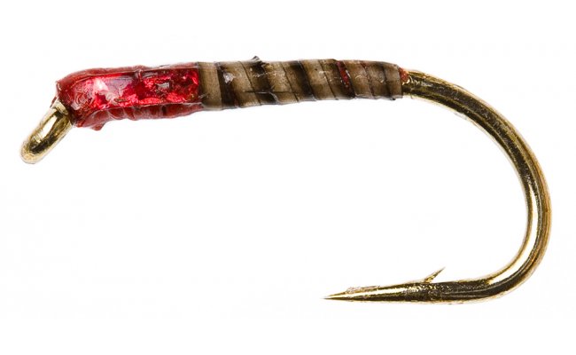 Quill Buzzer Red Quill Buzzer Red, vel. 12