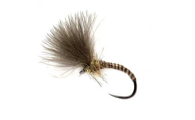 Quill CdC Emerger Natural Quill CdC Emerger Natural, vel. 14