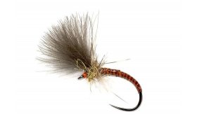 Quill CdC Emerger Orange Quill CdC Emerger Orange, vel. 14