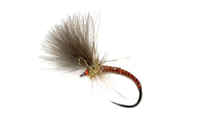 Quill CdC Emerger Orange Quill CdC Emerger Orange, vel. 14