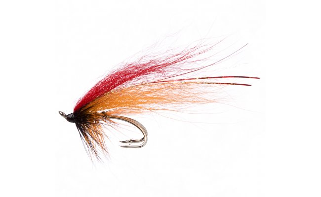 Red Templedog Red Templedog, vel. 9