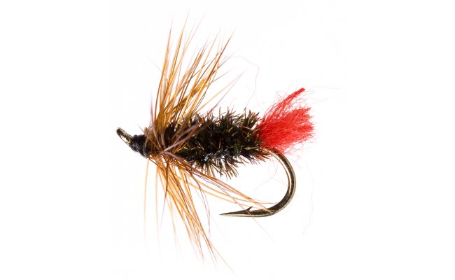 Rudoitka Rudoitka, vel. 16