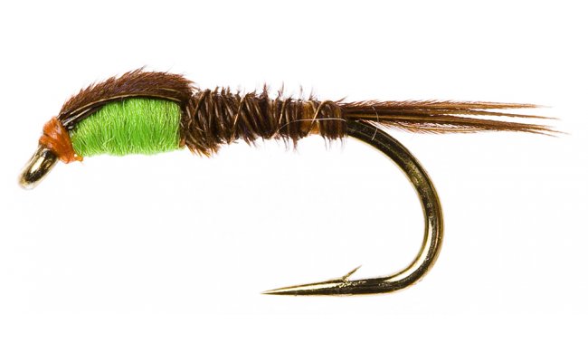 Sawyerova nymfa Baant ocas se zelenou hrud Sawyerova nymfa Baant ocas se zelenou hrud, vel. 12