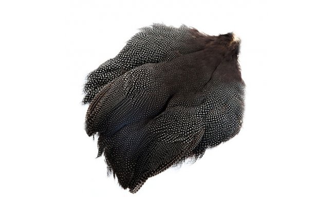 Skalp z perli�ky Veniard Guinea Fowl Skin Patch Skalp z perli�ky Veniard Guinea Fowl Skin Patch