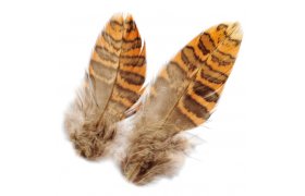 Sluka Veniard Woodcock Body Plumage Sluka Veniard Woodcock Body Plumage