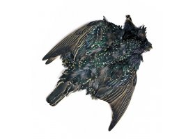 �pa�ek Veniard Starling Complete Body ... �pa�ek Veniard Starling Complete Body Skin