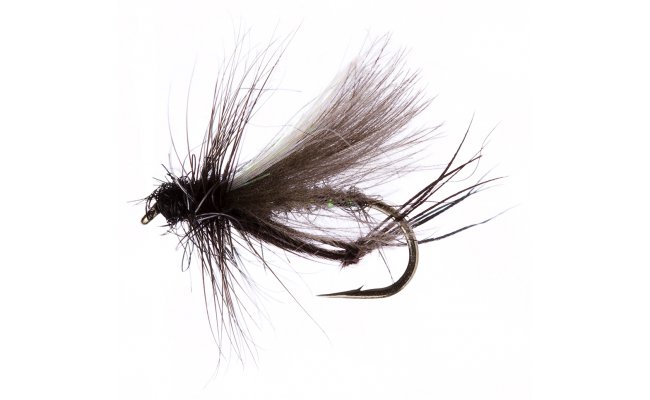 Sparkle Hawthorn Sparkle Hawthorn, vel. 12 