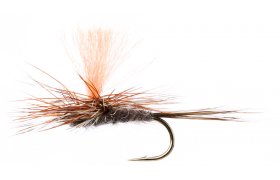 Spot-On Adams Para Spot-On Adams Para, vel. 16