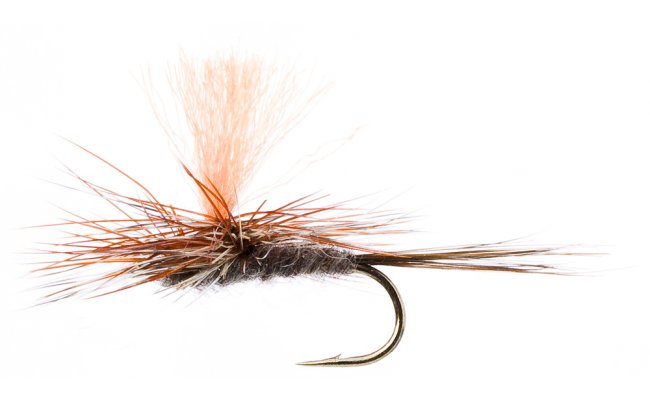 Spot-On Adams Para Spot-On Adams Para, vel. 16