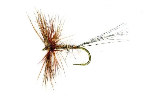 Such Beznovka Jingler Such Beznovka Jingler, vel. 12