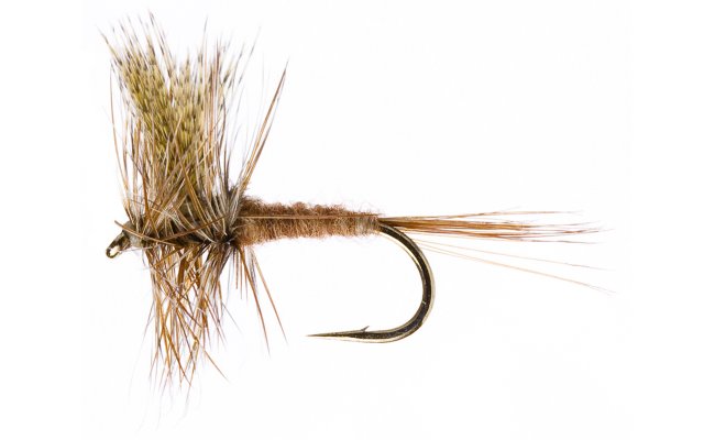 Such� B�eznovka p��rodn� Such� B�eznovka p��rodn�, vel. 14