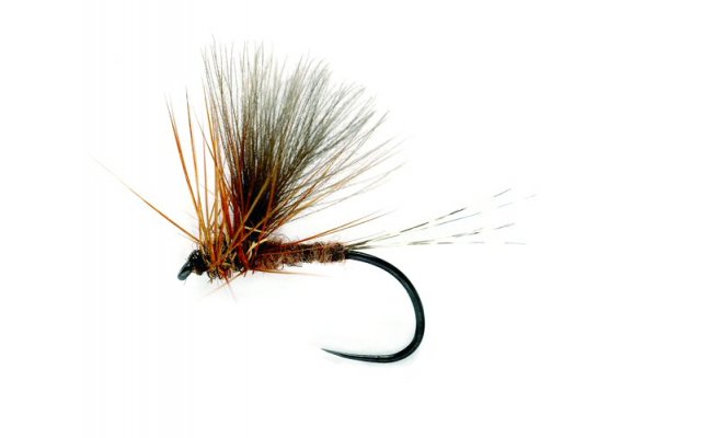 Such� B�eznovka s CDC k�id�lkem Such� B�eznovka s CDC k�id�lkem vel. 15