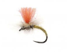 Svtl Klinkhamer s oranovm kidlkem