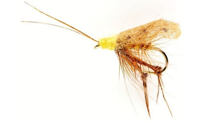 Taff�v chrost�k s blanit�m k�id�lkem sko�icov� Taff�v chrost�k s blanit�m k�id�lkem sko�icov�, vel. 12