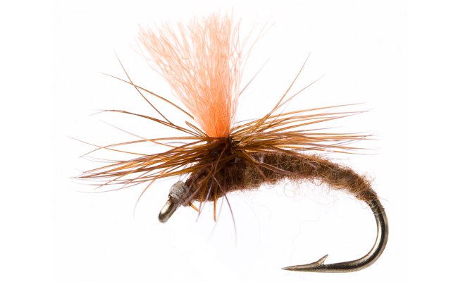 Tan Juan Tan Juan, vel. 16