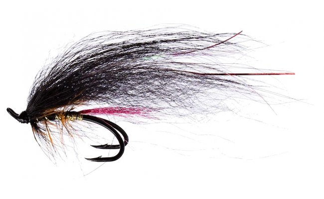 Templedog Templedog, vel. 9