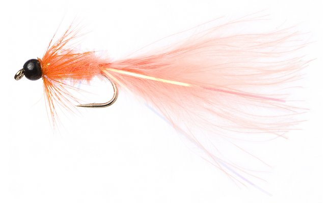 Terry's Taddy Coral Terry's Taddy Coral, vel. 10