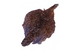 Tet�ev� slepice cel� Veniard Grouse Complete Body Skin Tet�ev� slepice cel� Veniard Grouse Complete Body Skin