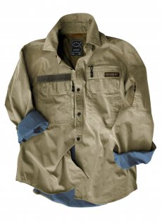 Koile Thinkfish Competition