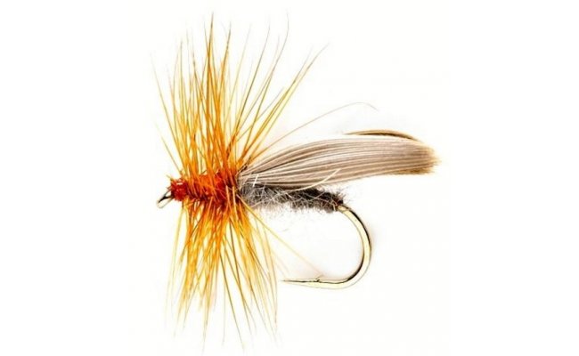 Tradi�n� chrost�k �edo-rezav� Tradi�n� chrost�k �edo-rezav�, vel. 10