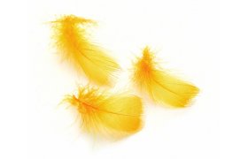 Tukan nhrada Veniard Toucan Substitute Feathers Tukan nhrada Veniard Toucan Substitute Feathers