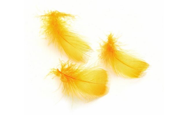 Tukan nhrada Veniard Toucan Substitute Feathers Tukan nhrada Veniard Toucan Substitute Feathers