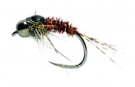 Tungstenov nymfa Baant ocas s ernou hlavikou Tungstenov nymfa Baant ocas s ernou hlavikou, vel. 14